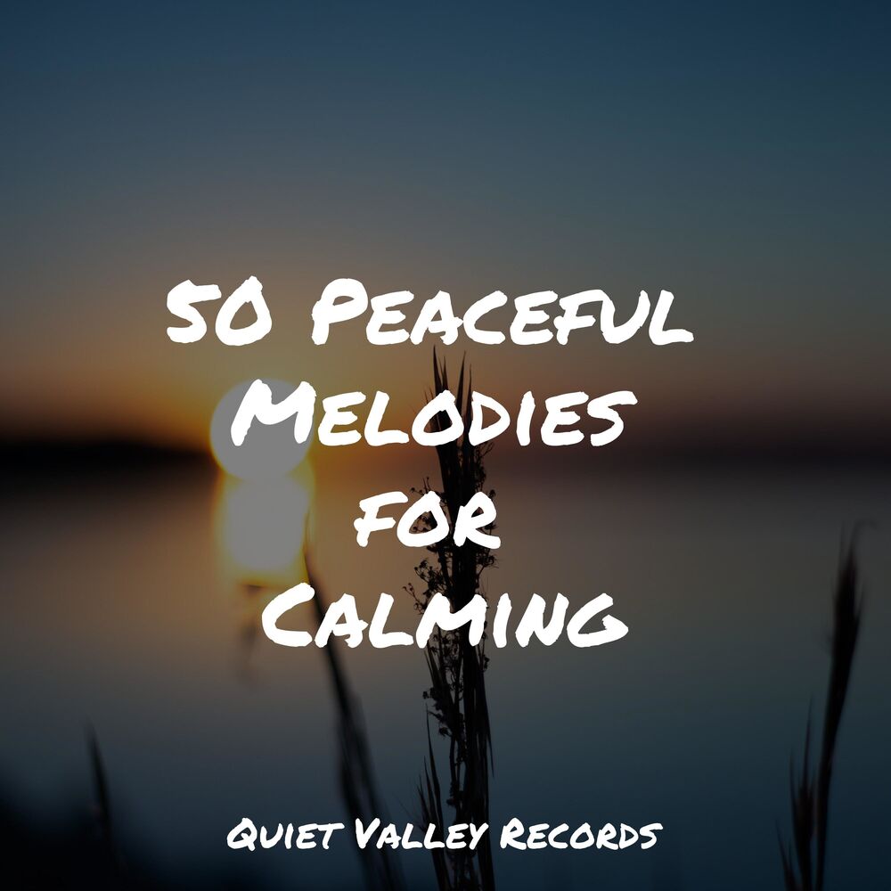 Picture of 50 Peaceful Melodies for Calming