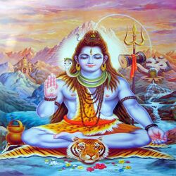 Cover of Namaste