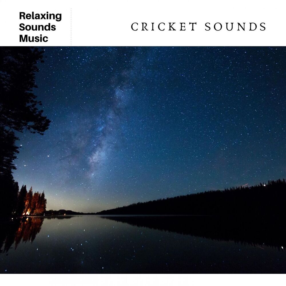 Picture of Relaxing Outside Cricket Sounds