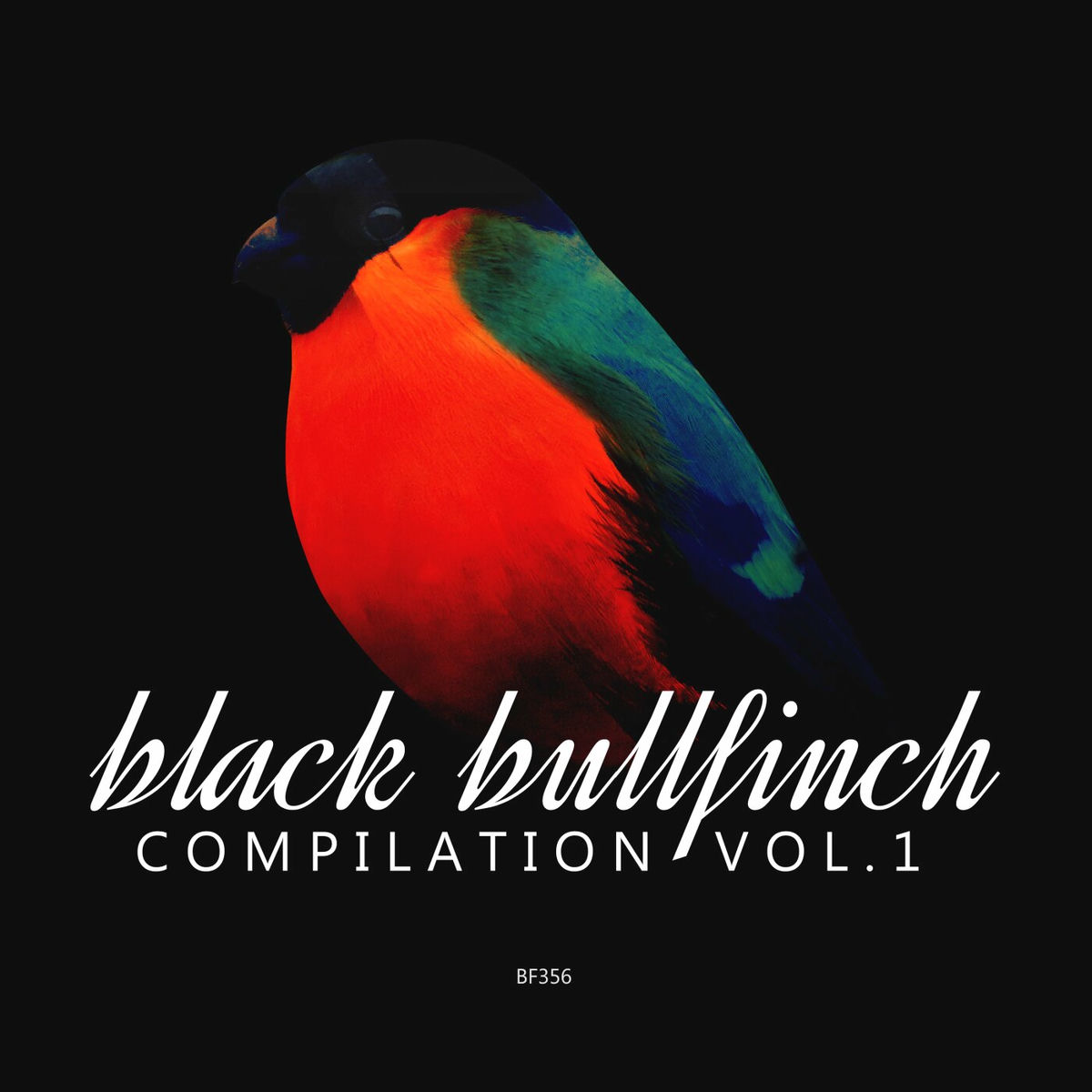 Album cover of Black Bullfinch Compilation, Vol. 1