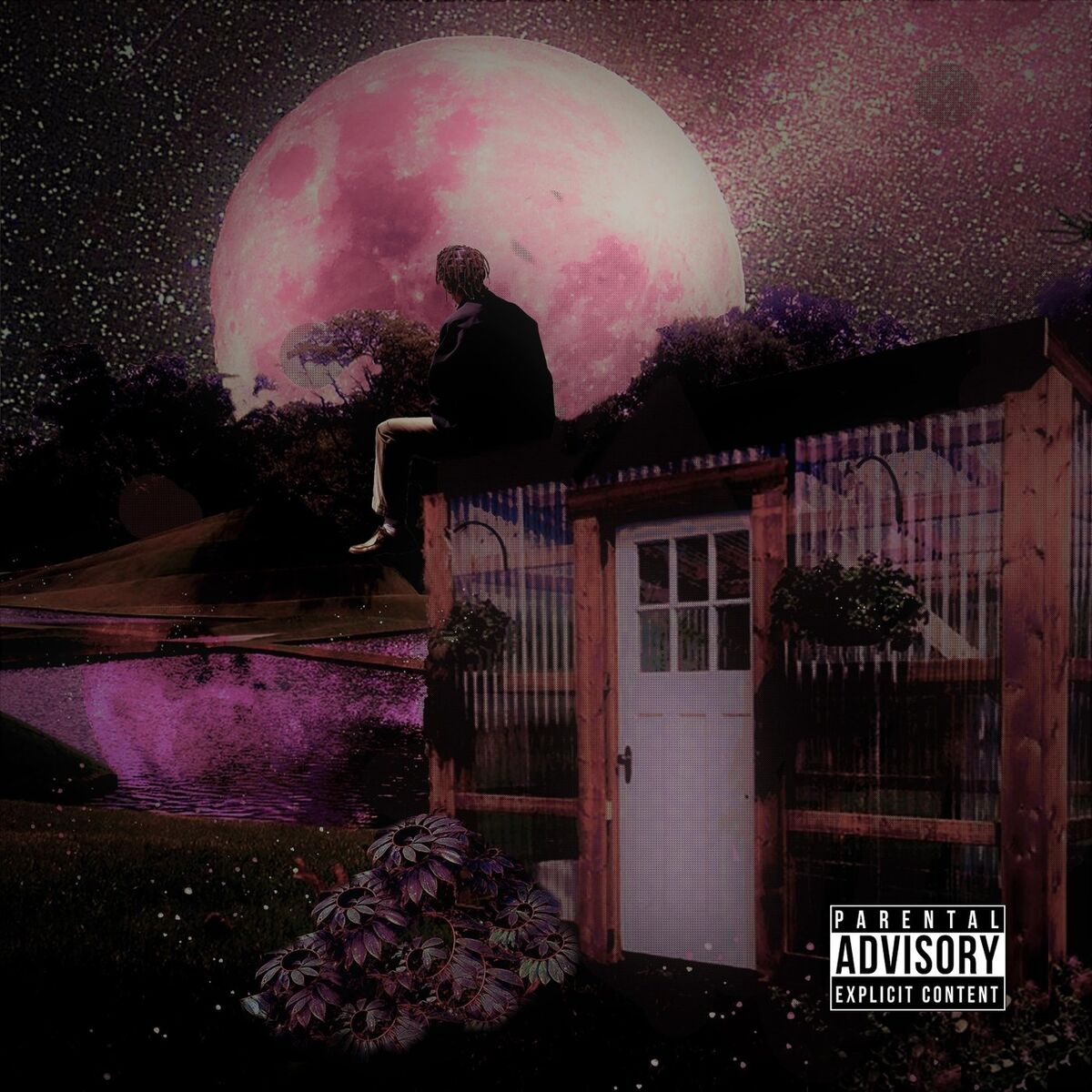 Album cover of Pink God
