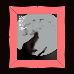 Cover of Back to the Light