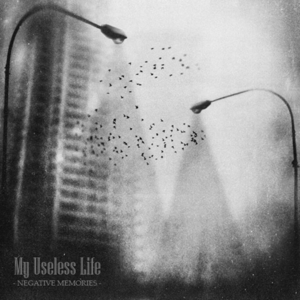 Picture of Negative Memories