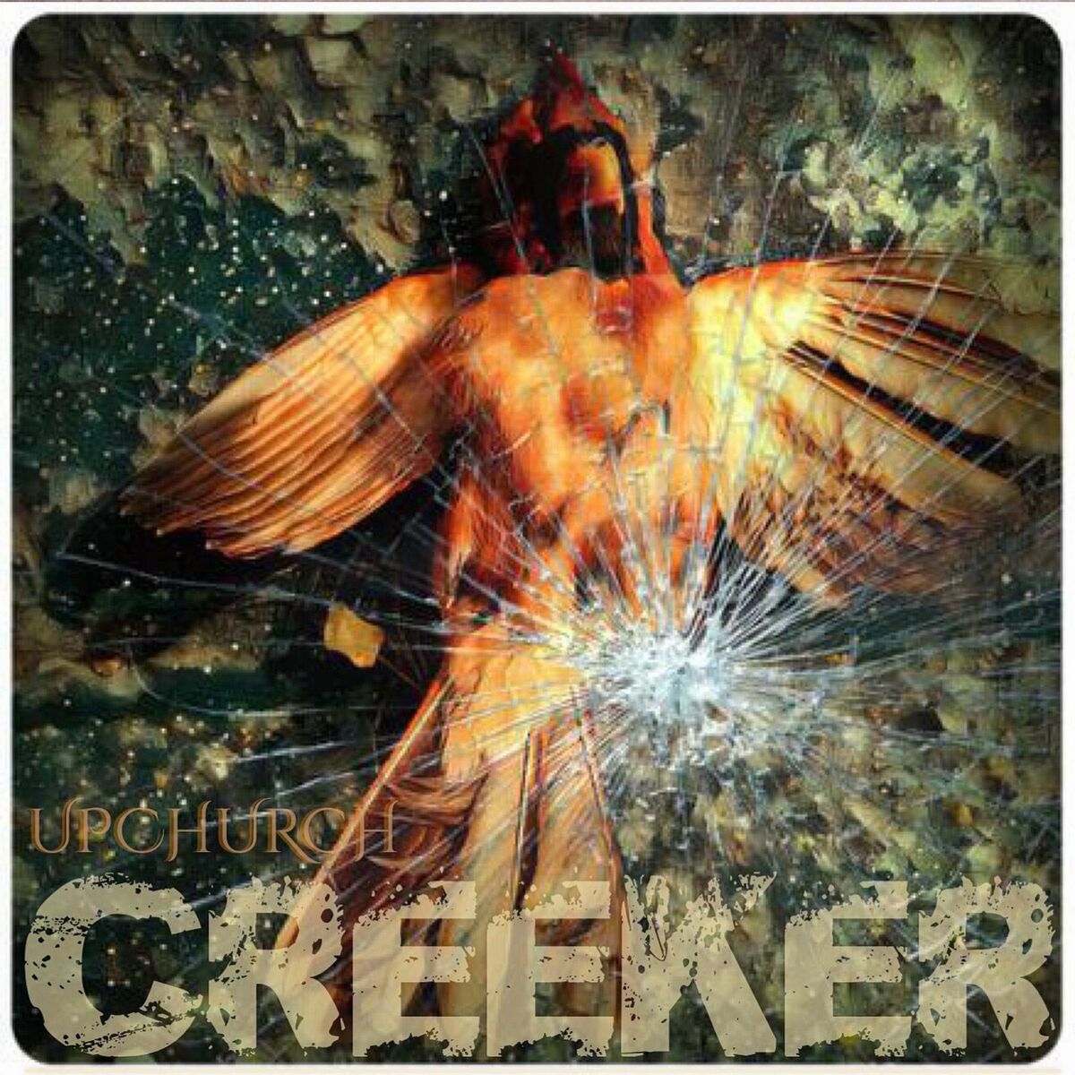 Album cover of Pond Creek Road