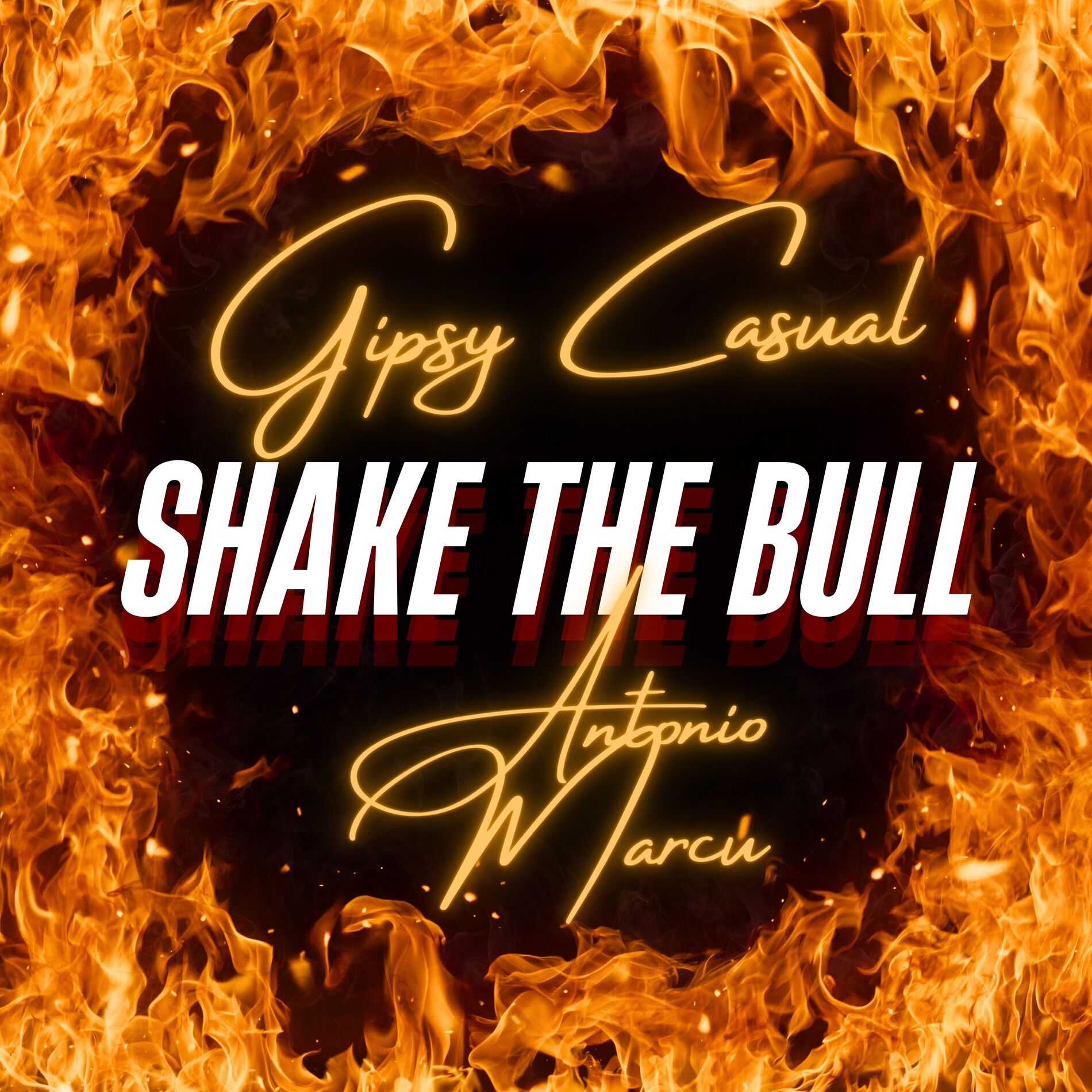Album cover of Shake the Bull