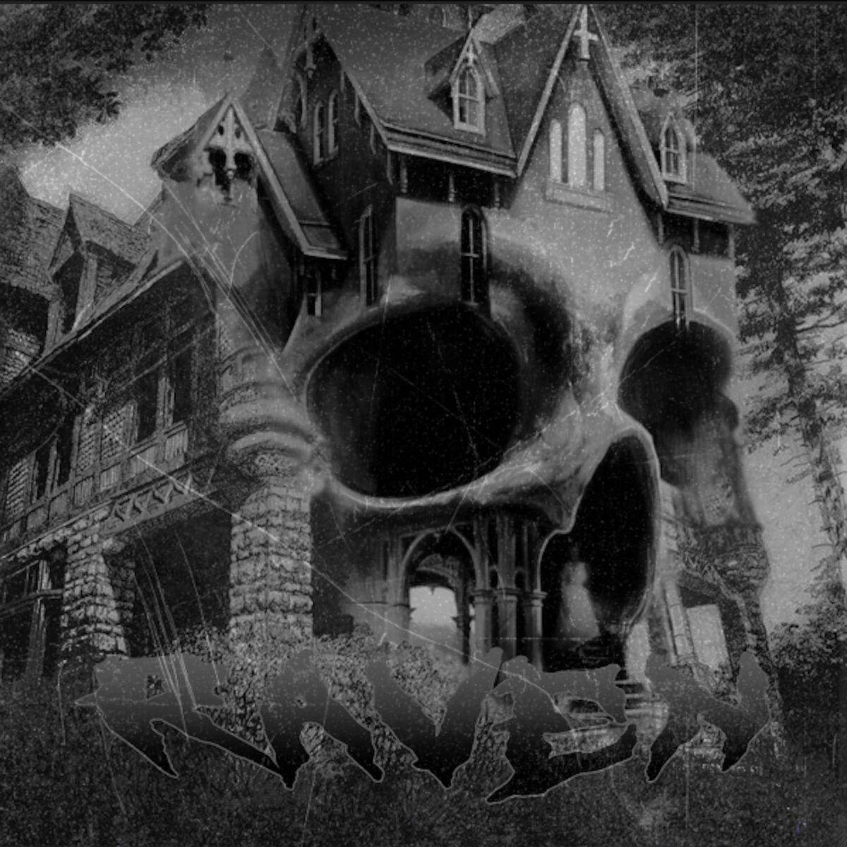 Album cover of RAVEN