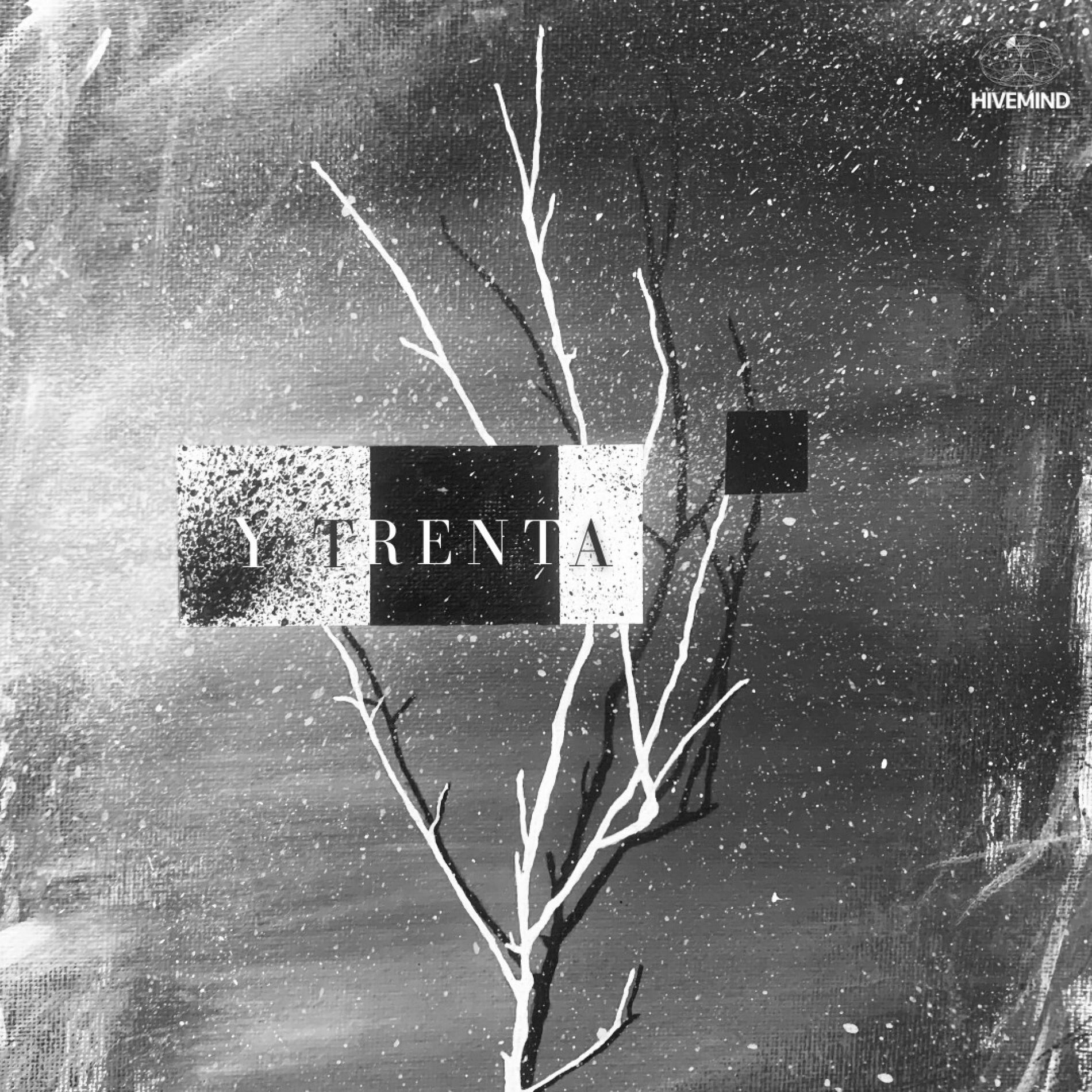 Album cover of Y TRENTA