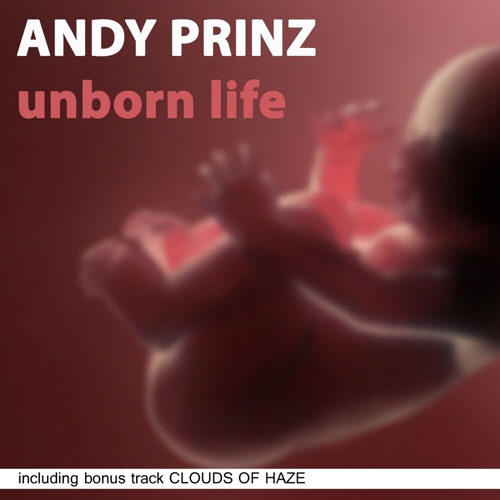 Picture of Unborn Life