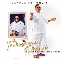 Cover of Inokushona Phansi