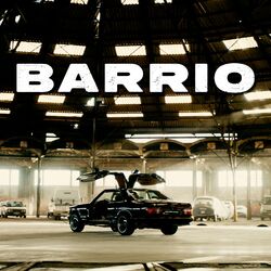 Cover of Barrio