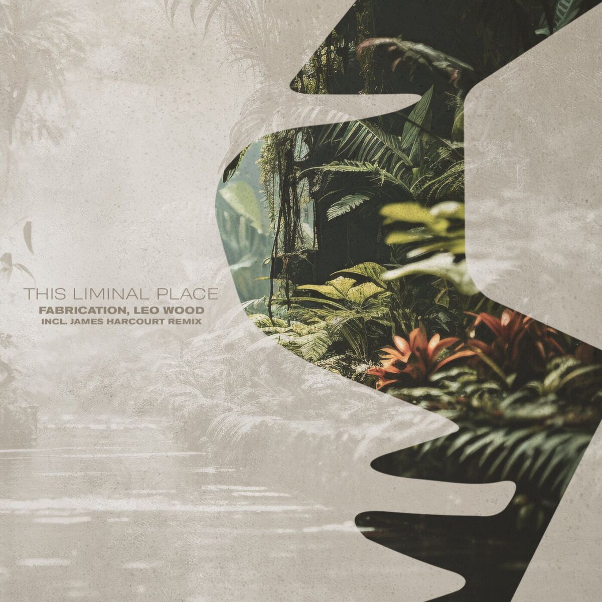 Album cover of This Liminal Place
