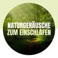 Naturger&auml;usche zum Einschlafen