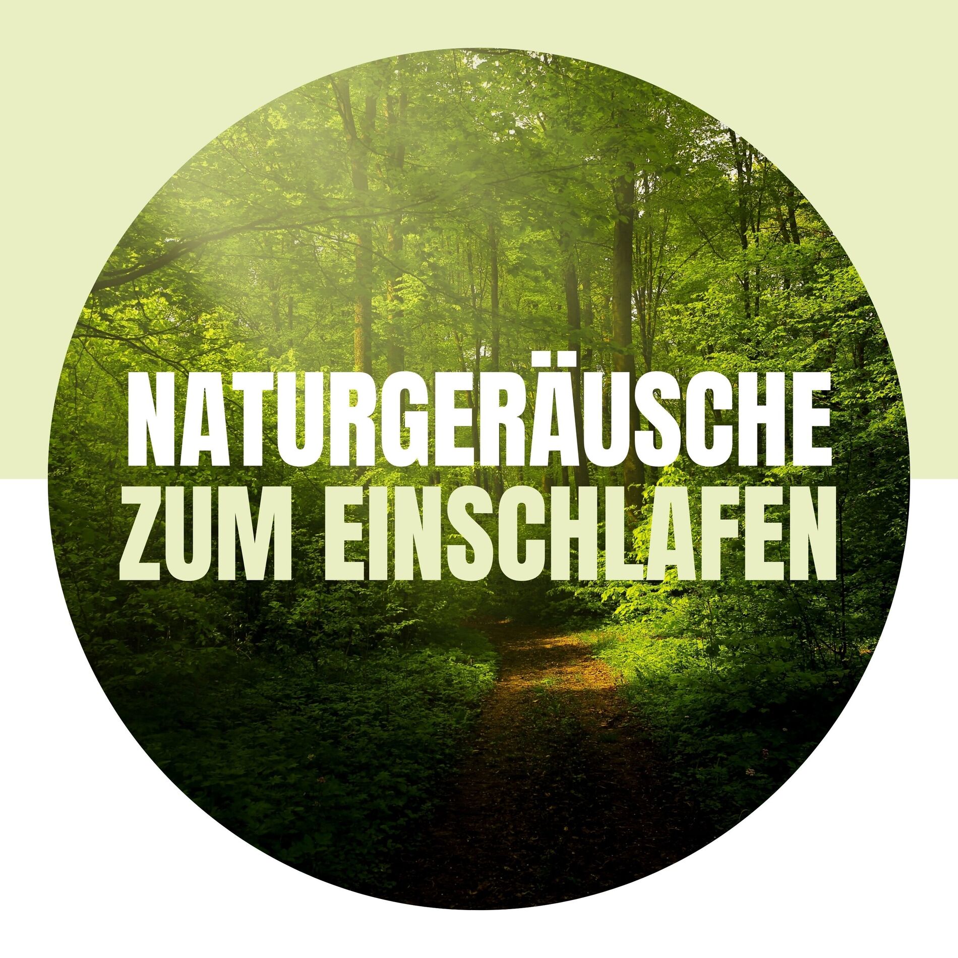 Album cover of Naturgeräusche zum Einschlafen
