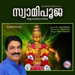 Cover of Swami Pooja