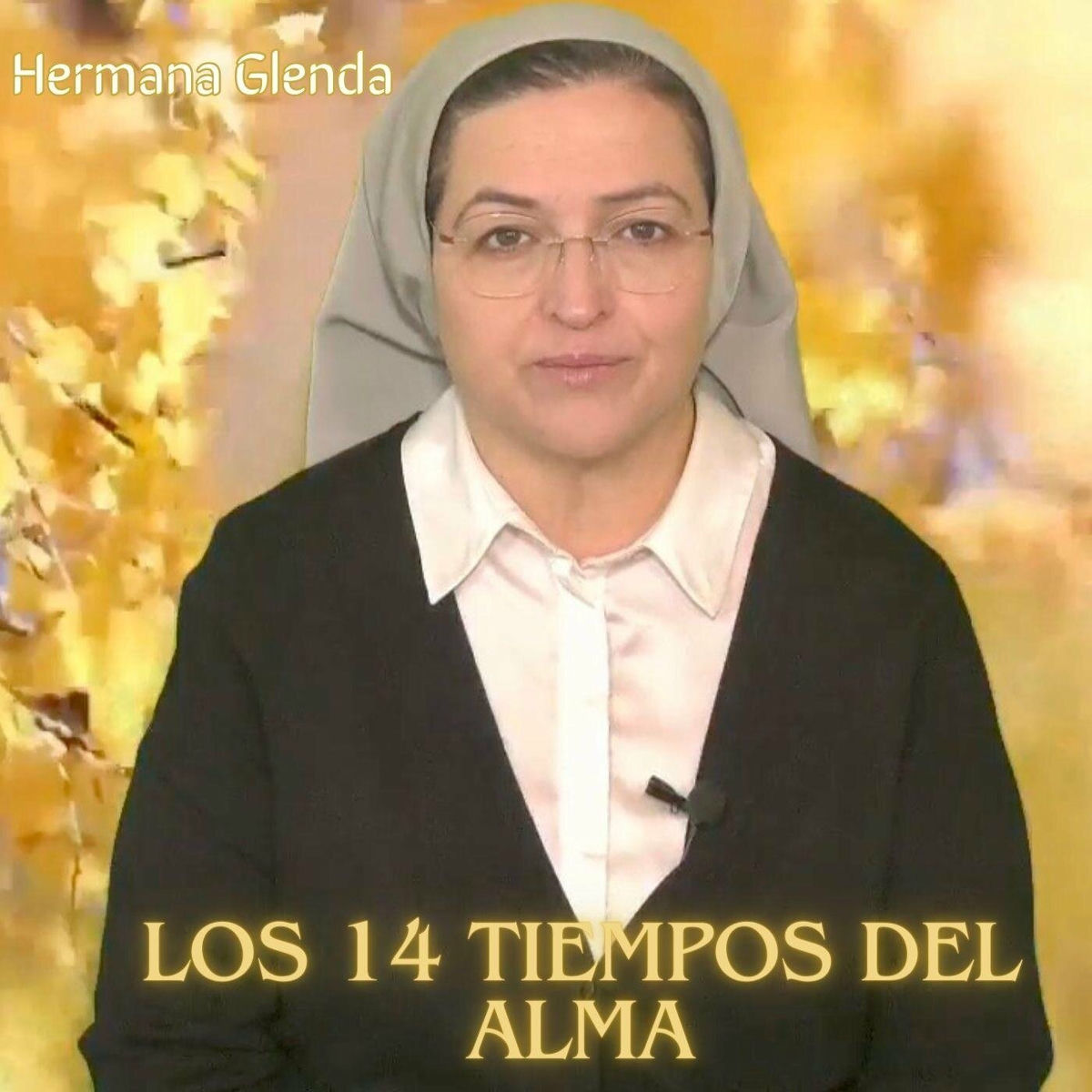 Album cover of Los 14 Tiempos del Alma