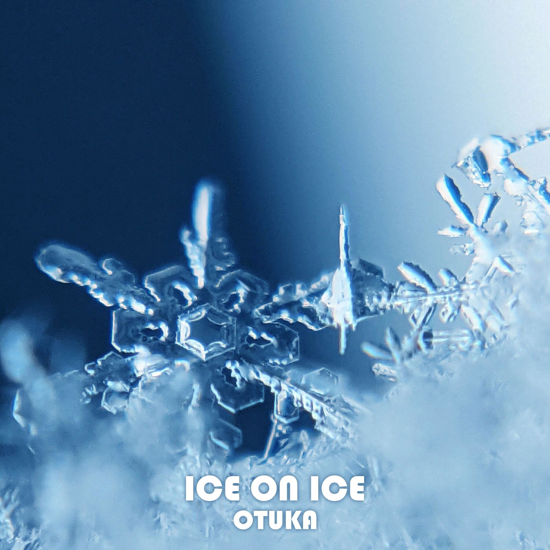 Album cover of Ice on Ice