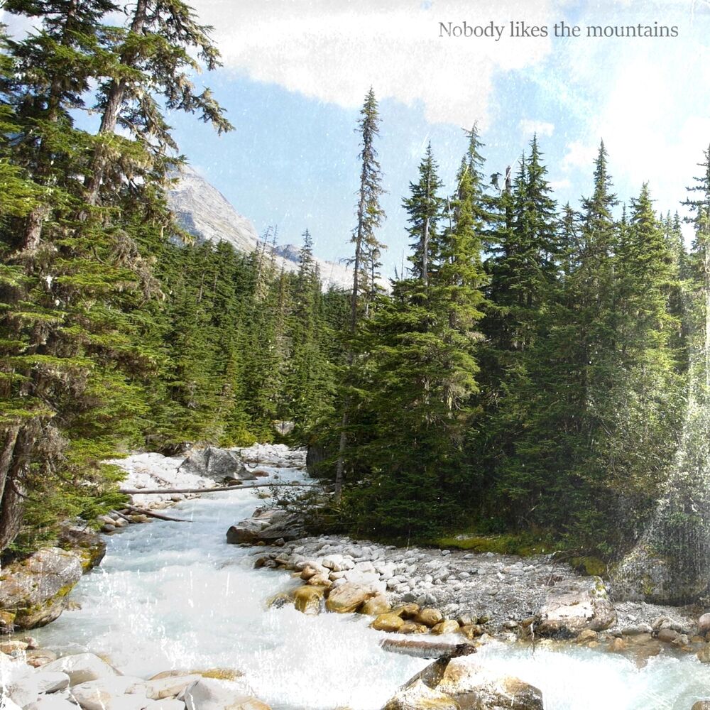 Picture of Nobody Likes the Mountains