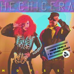 Cover of Hechicera