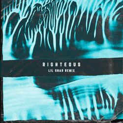 Cover of Righteous