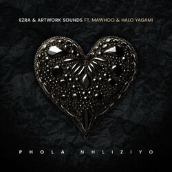 Cover of Phola Nhliziyo