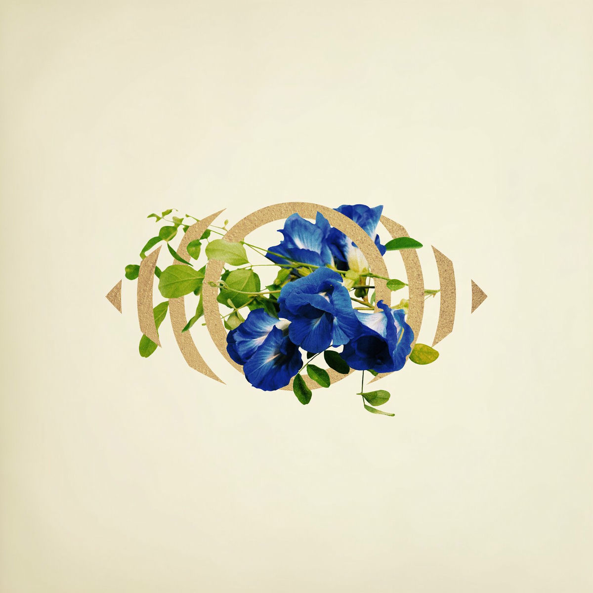 Album cover of ((( 4 )))