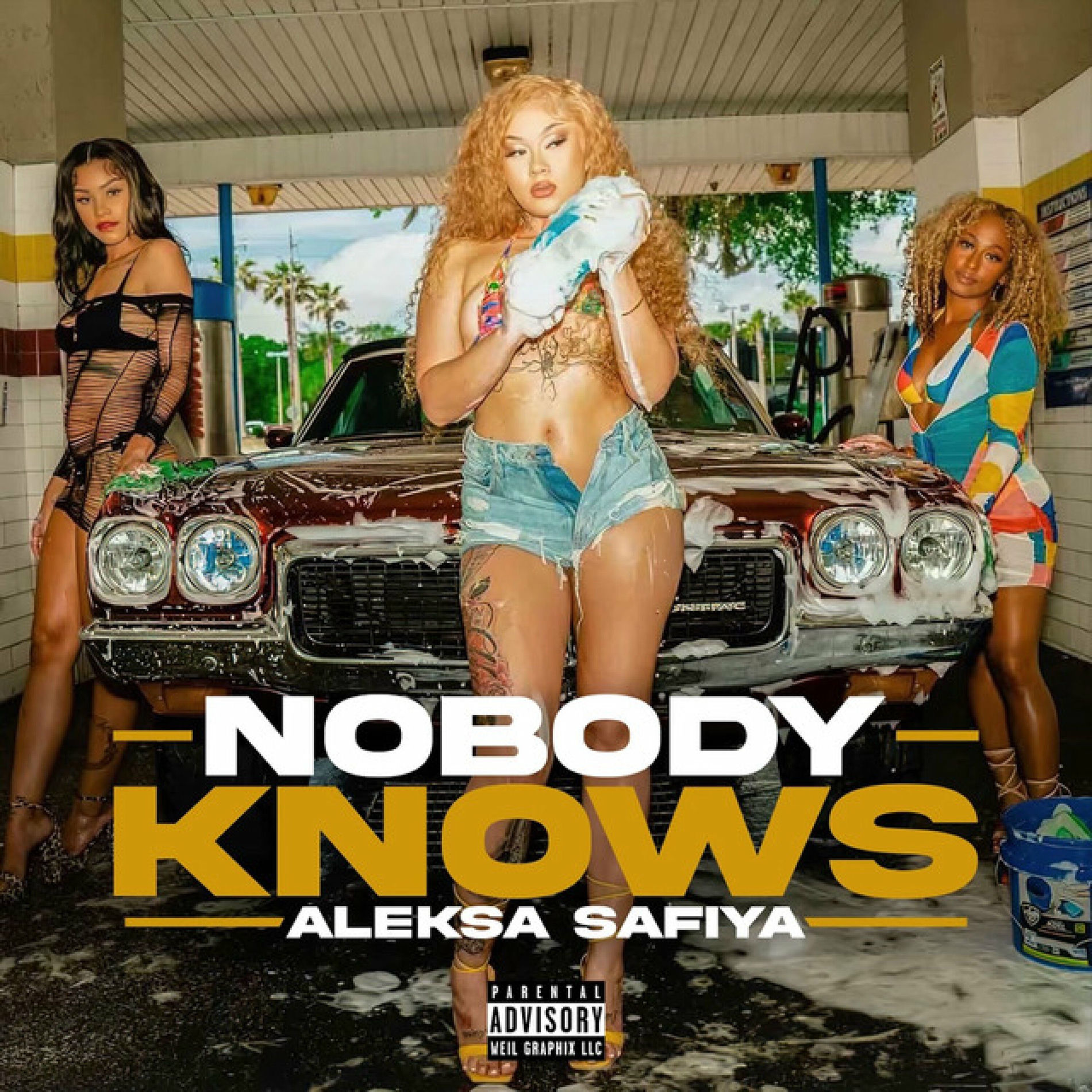 Album cover of Nobody Knows