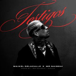 Cover of TESTIGOS