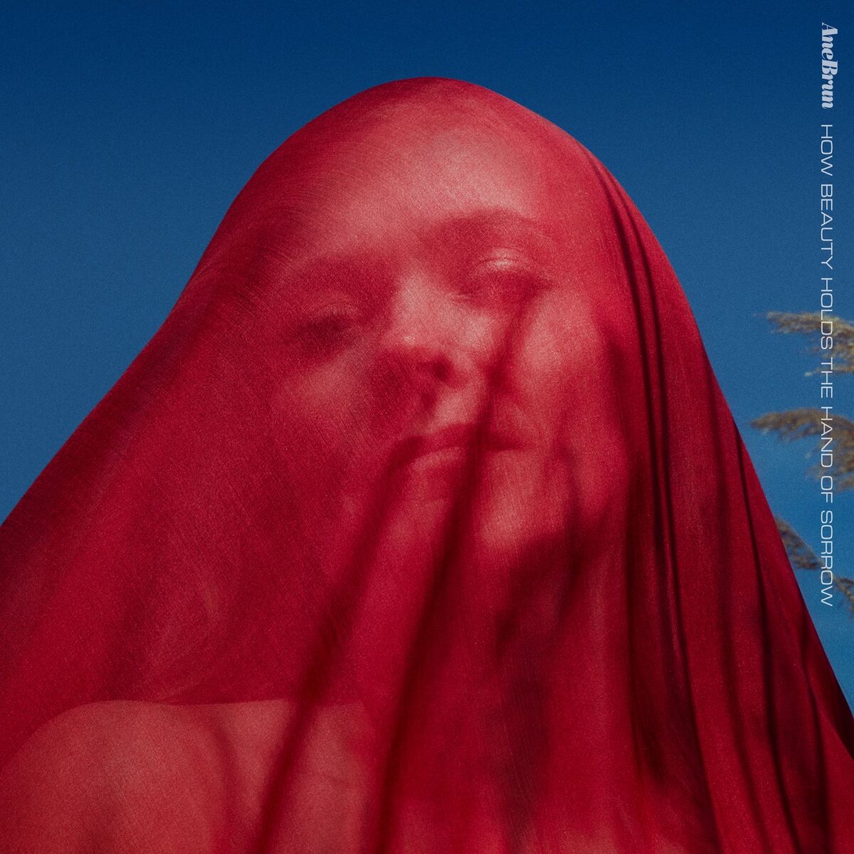 Album cover of Lose My Way