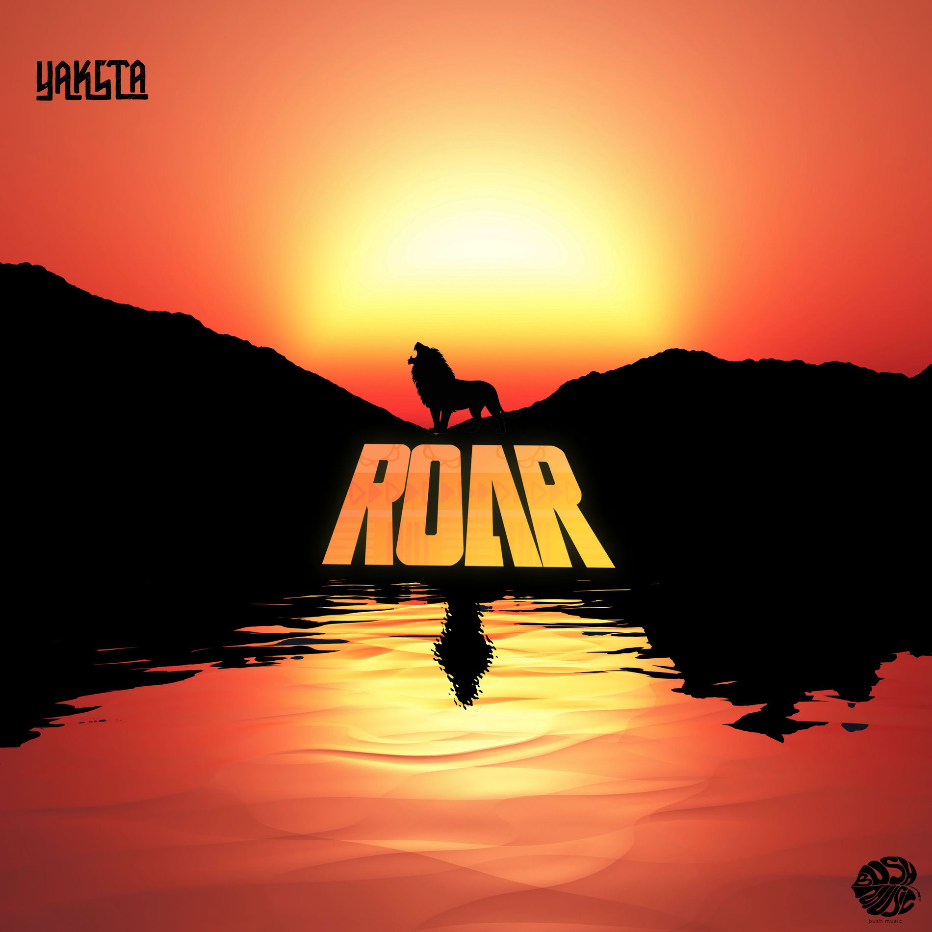 Album cover of Roar