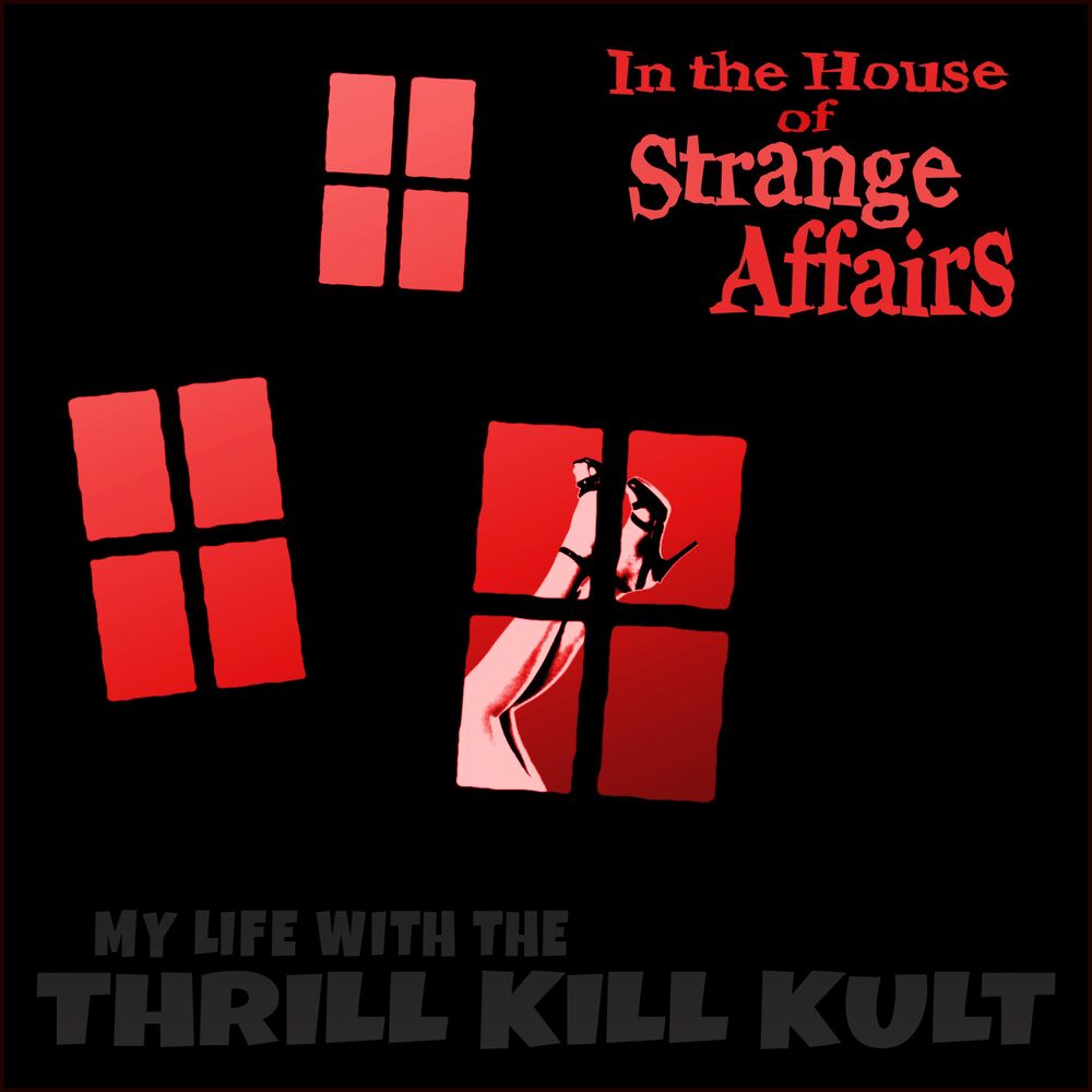 Picture of In the House of Strange Affairs