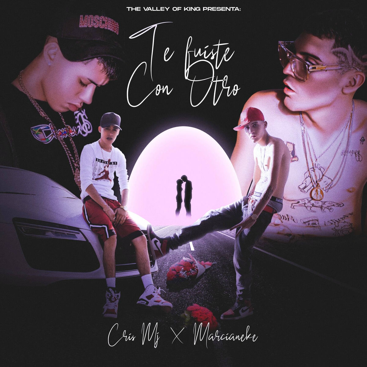 Album cover of Te Fuiste Con Otro