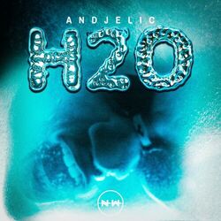 Cover of H2O