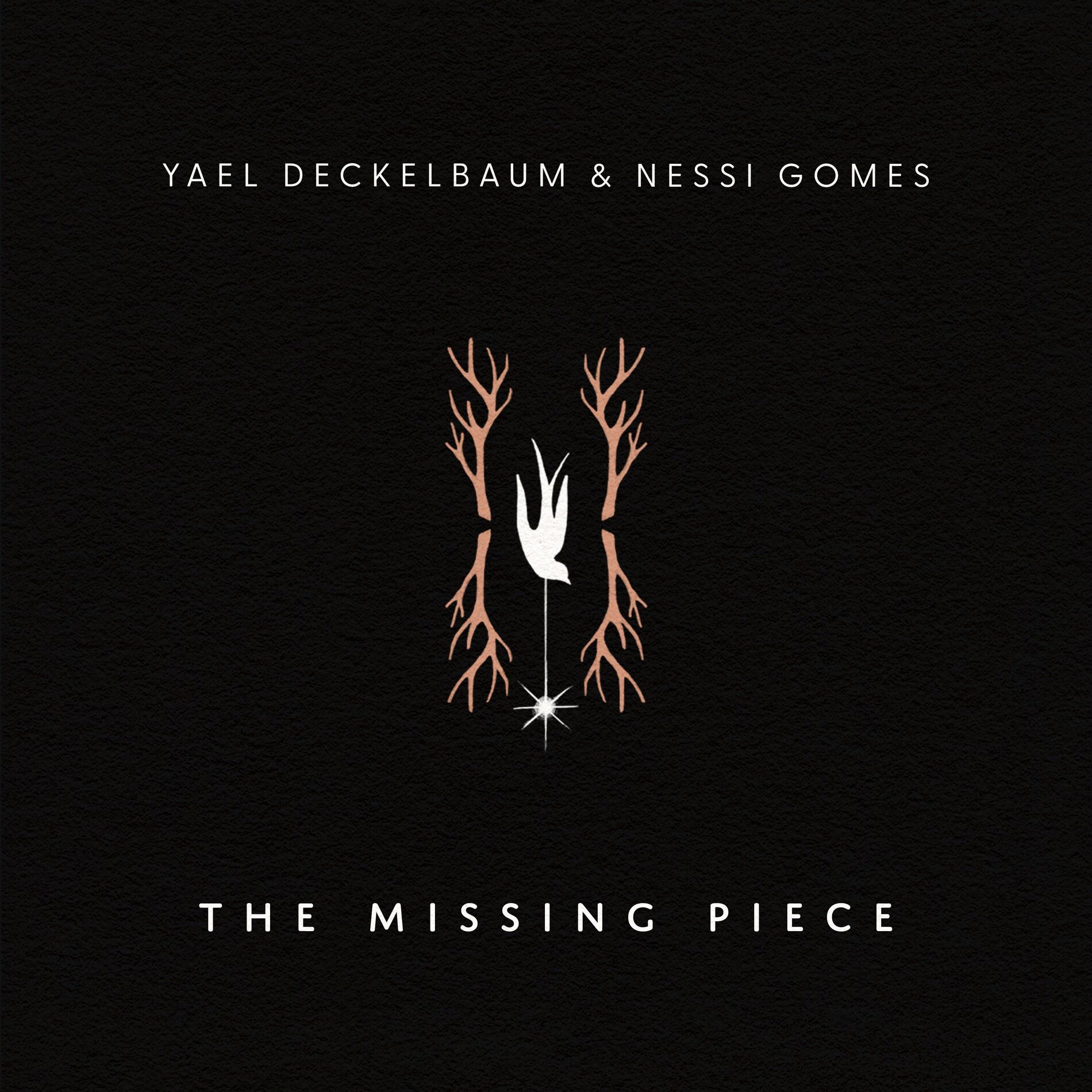 Album cover of The Missing Piece