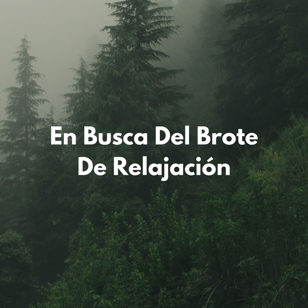 Picture of En Busca Del Brote De Relajación
