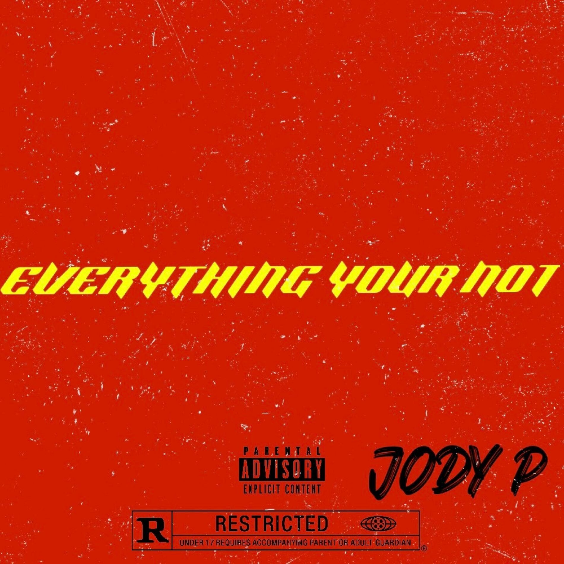 Album cover of Everything Your Not