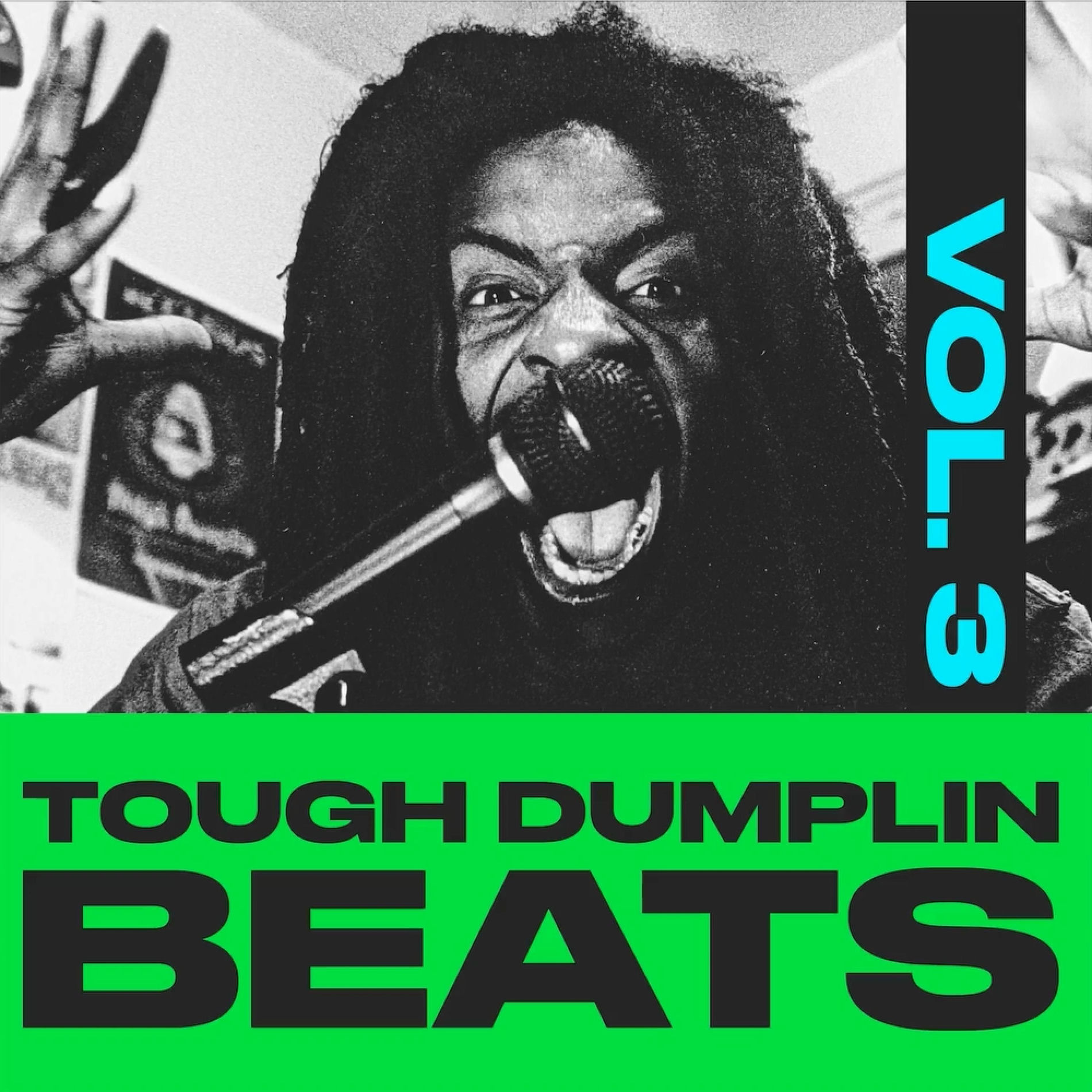 Album cover of TOUGH DUMPLIN BEATS VOL 3