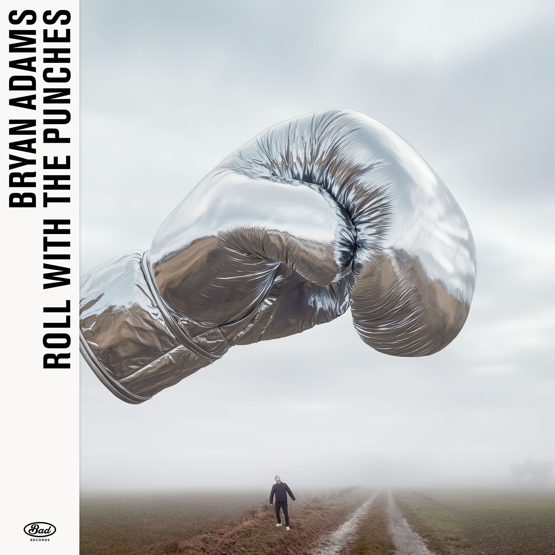 Album cover of Roll With The Punches