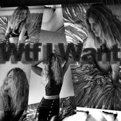 Cover of WTF I Want
