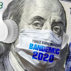 Cover of Bandemic 2020
