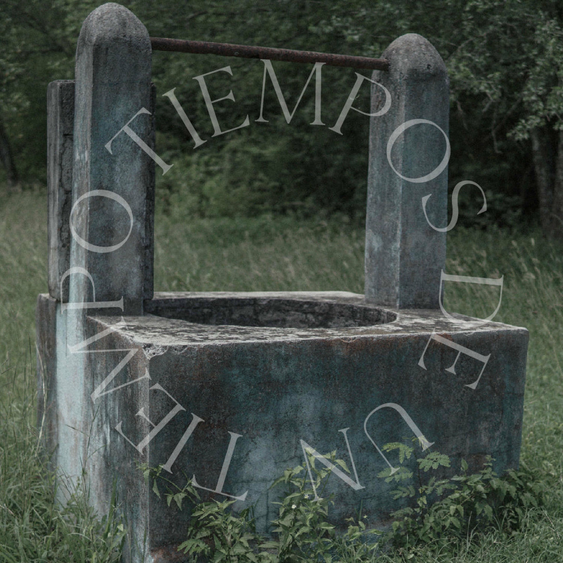 Album cover of Tiempos De Un Tiempo