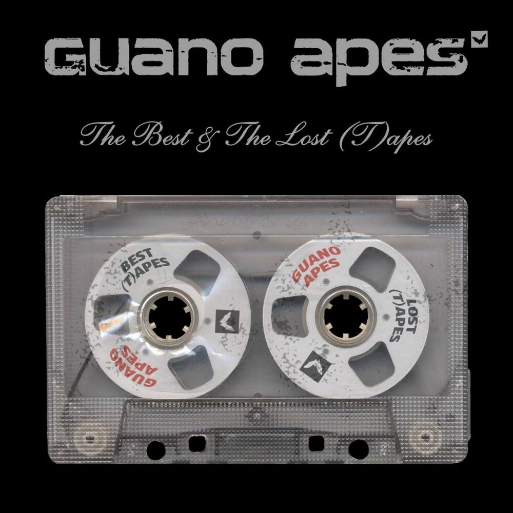 Picture of The Best and The Lost (T)apes
