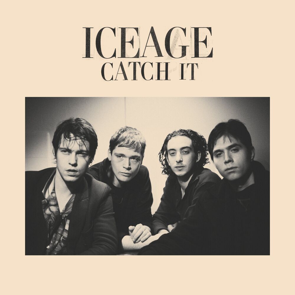 Picture of Catch It