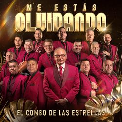 Cover of Me Estas Olvidando