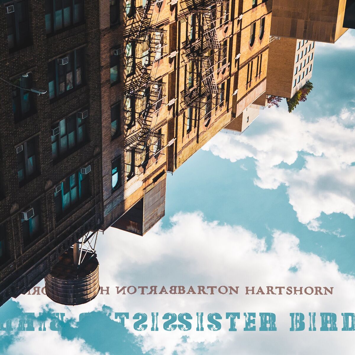 Album cover of Sister Bird