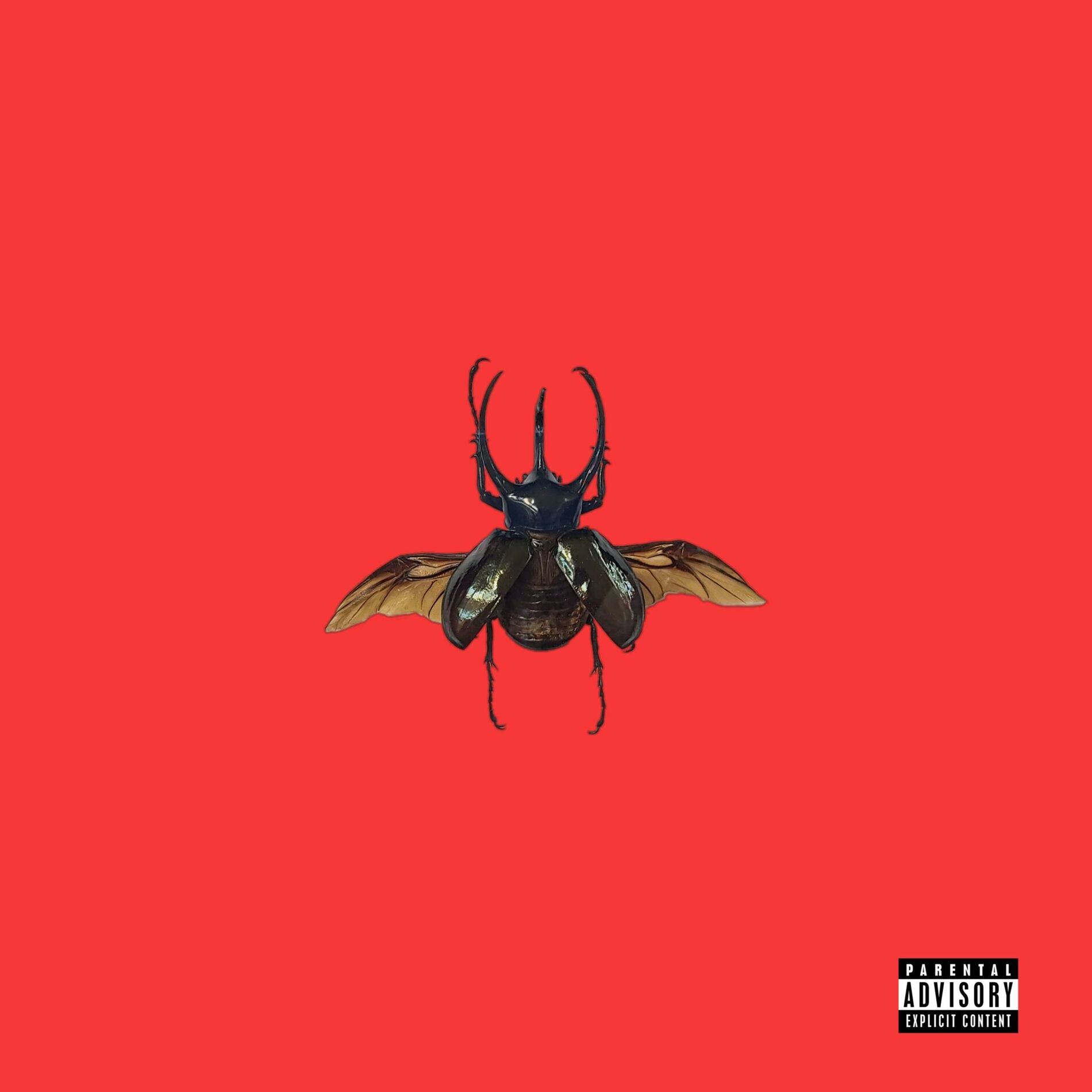 Album cover of BEETLE DIARIES