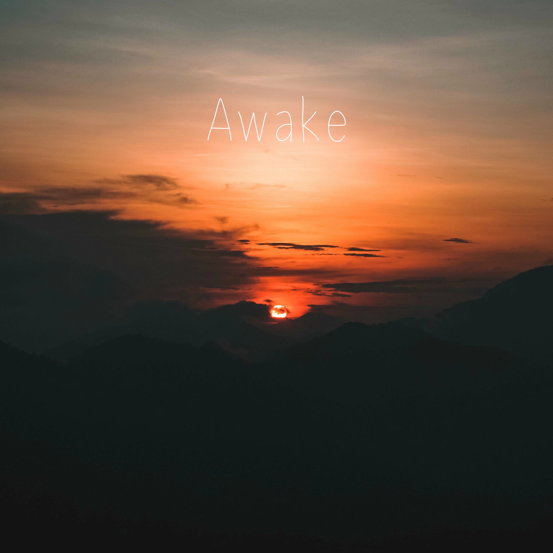 Album cover of Awake
