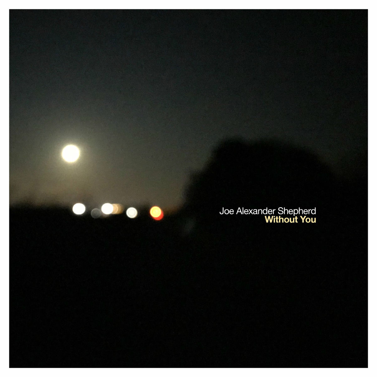 Album cover of Without You
