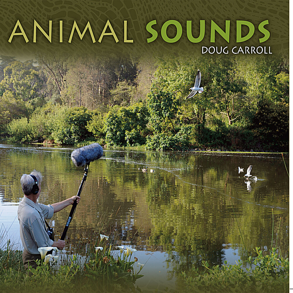 Picture of Animal Sounds