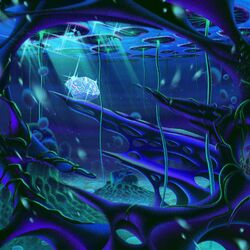 Cover of Nymphaea Crystals