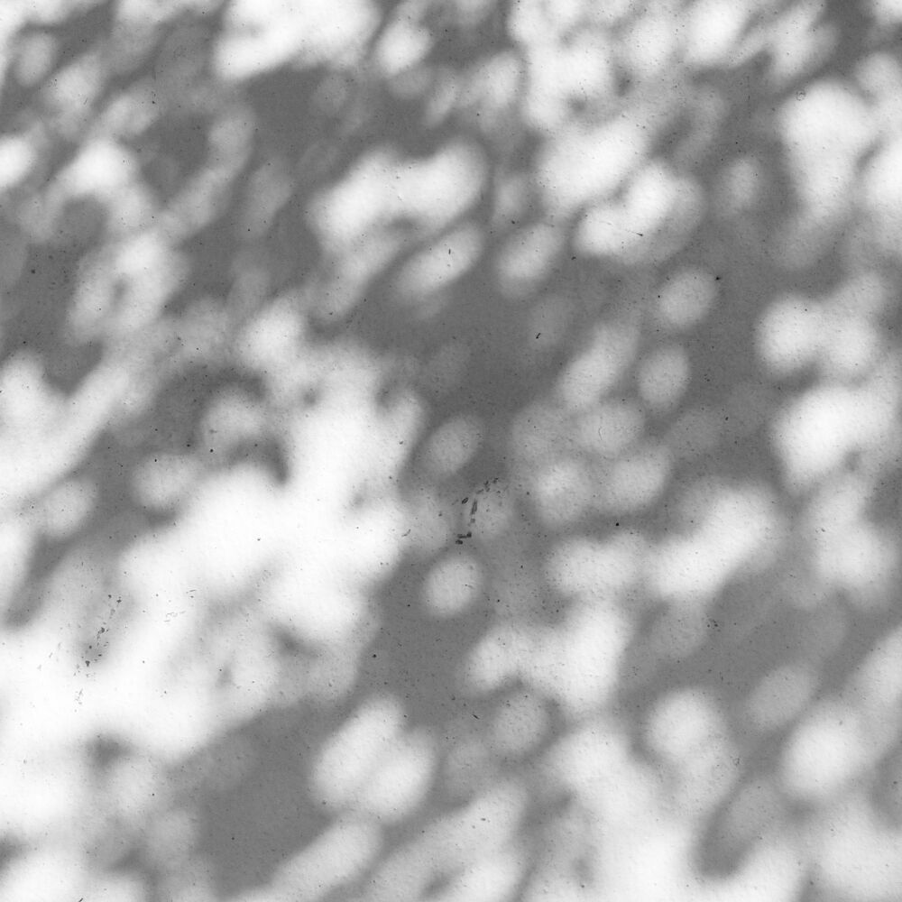 Picture of NVR01